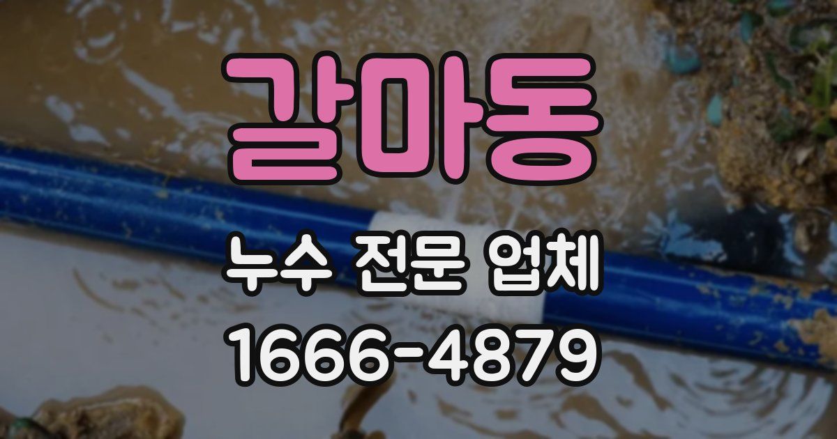 갈마동 누수 전문 업체