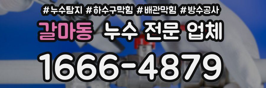 갈마동 누수 전문 업체