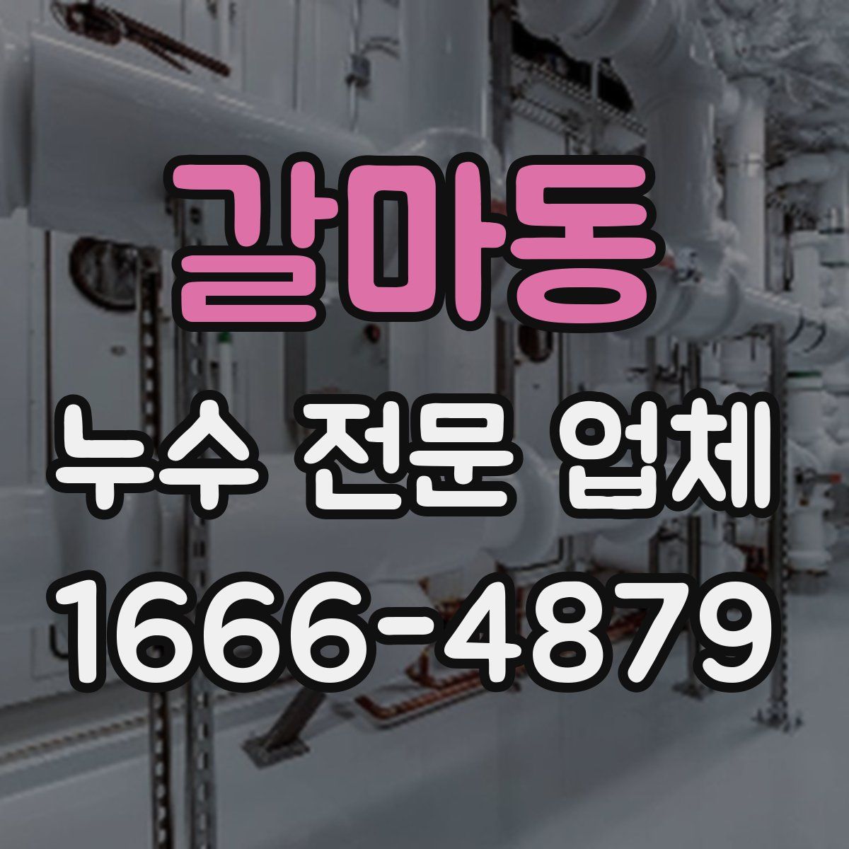 갈마동 누수 전문 업체