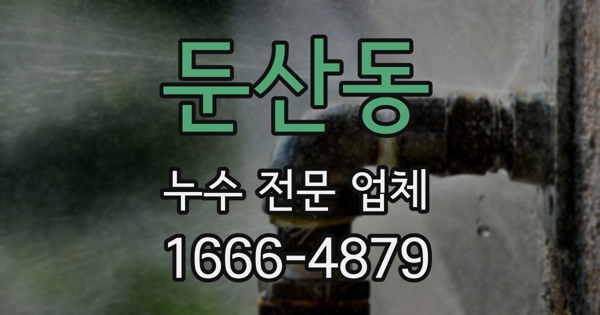 둔산동 누수 전문 업체