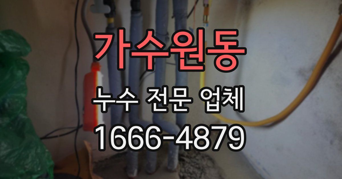 가수원동 누수 전문 업체