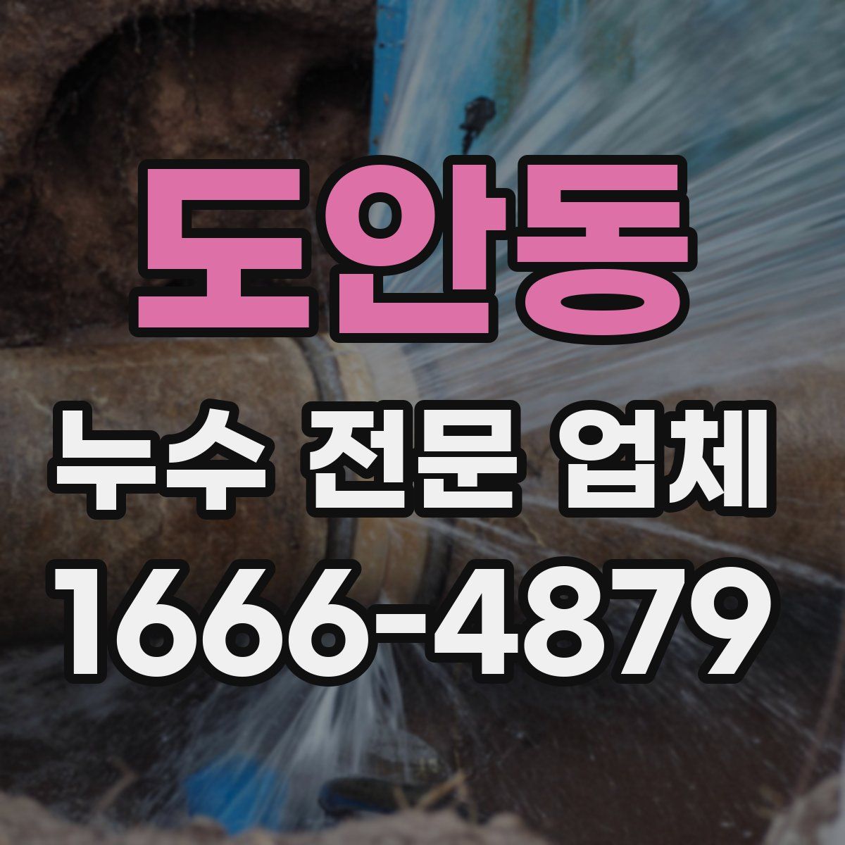 도안동 누수 전문 업체