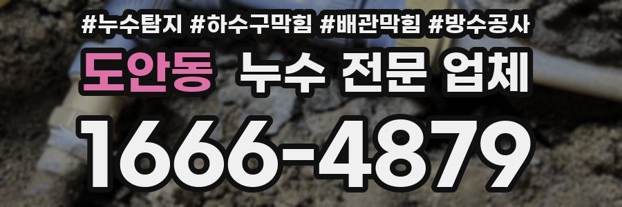 도안동 누수 전문 업체