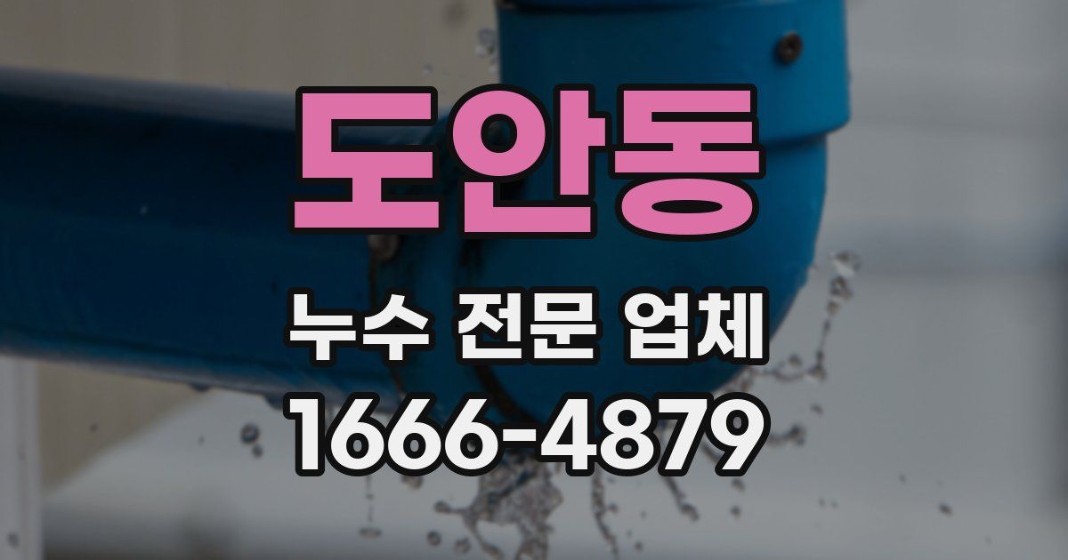 도안동 누수 전문 업체