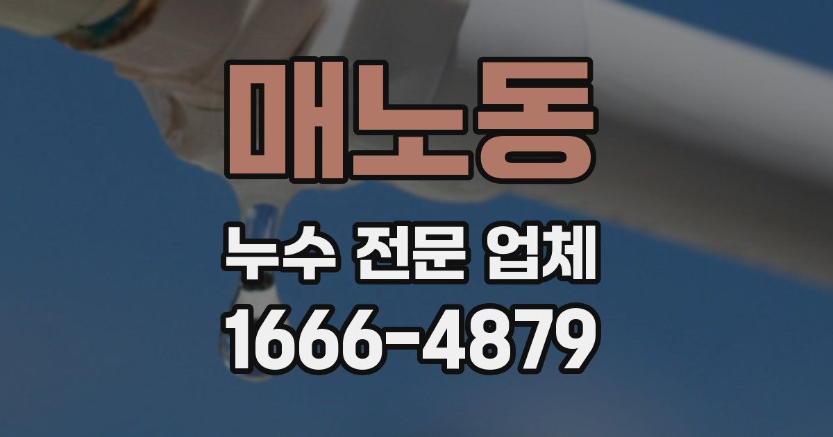 매노동 누수 전문 업체