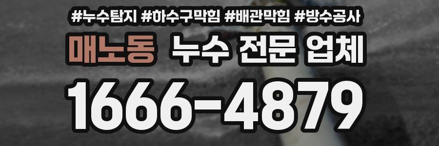 매노동 누수 전문 업체