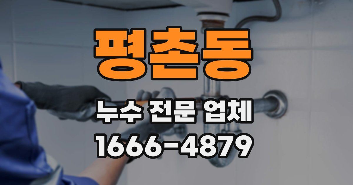 평촌동 누수 전문 업체