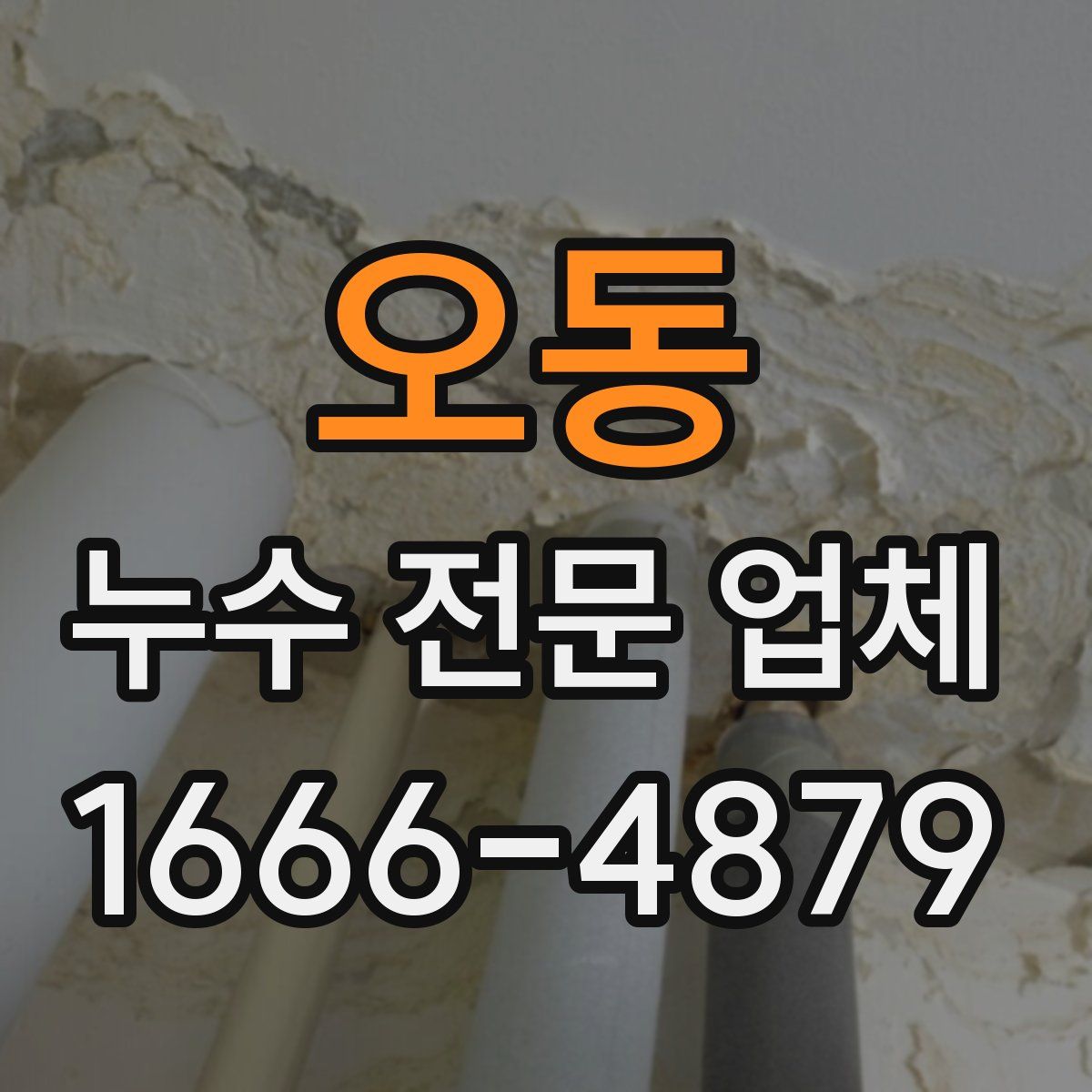 오동 누수 전문 업체