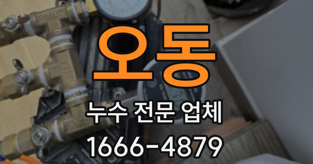 오동 누수 전문 업체