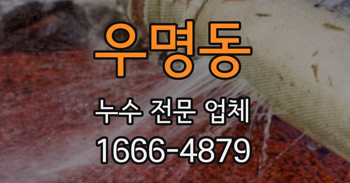 우명동 누수 전문 업체
