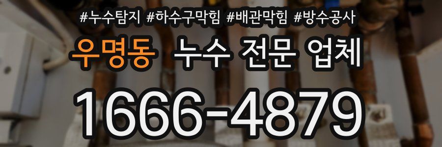 우명동 누수 전문 업체