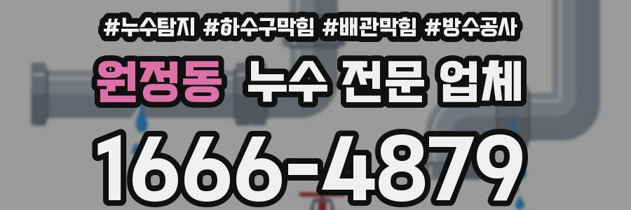 원정동 누수 전문 업체