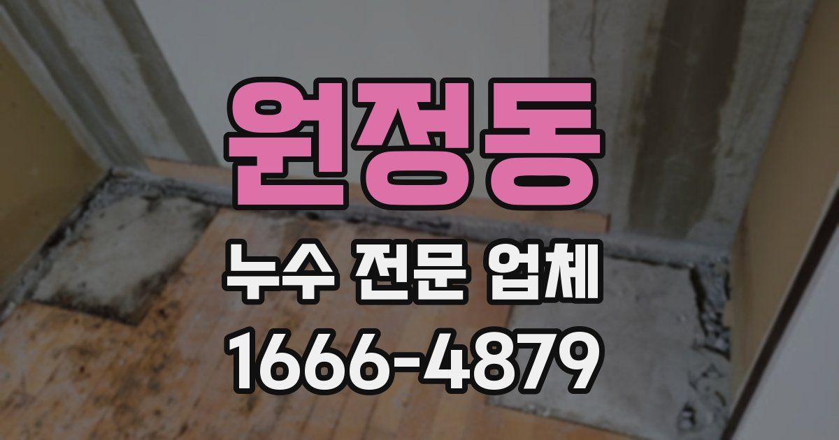 원정동 누수 전문 업체