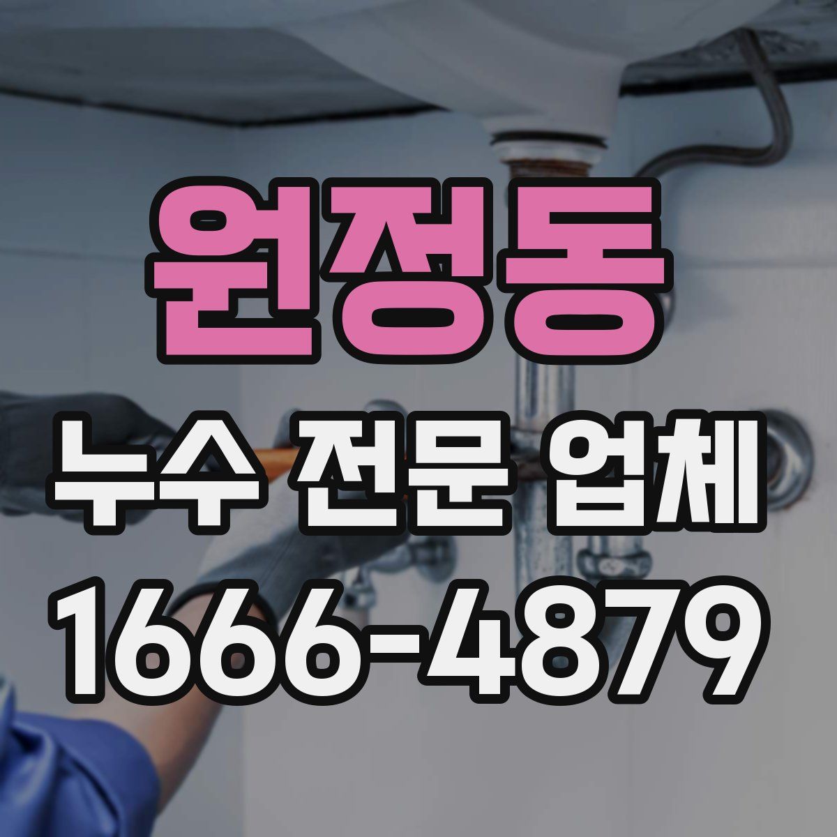 원정동 누수 전문 업체