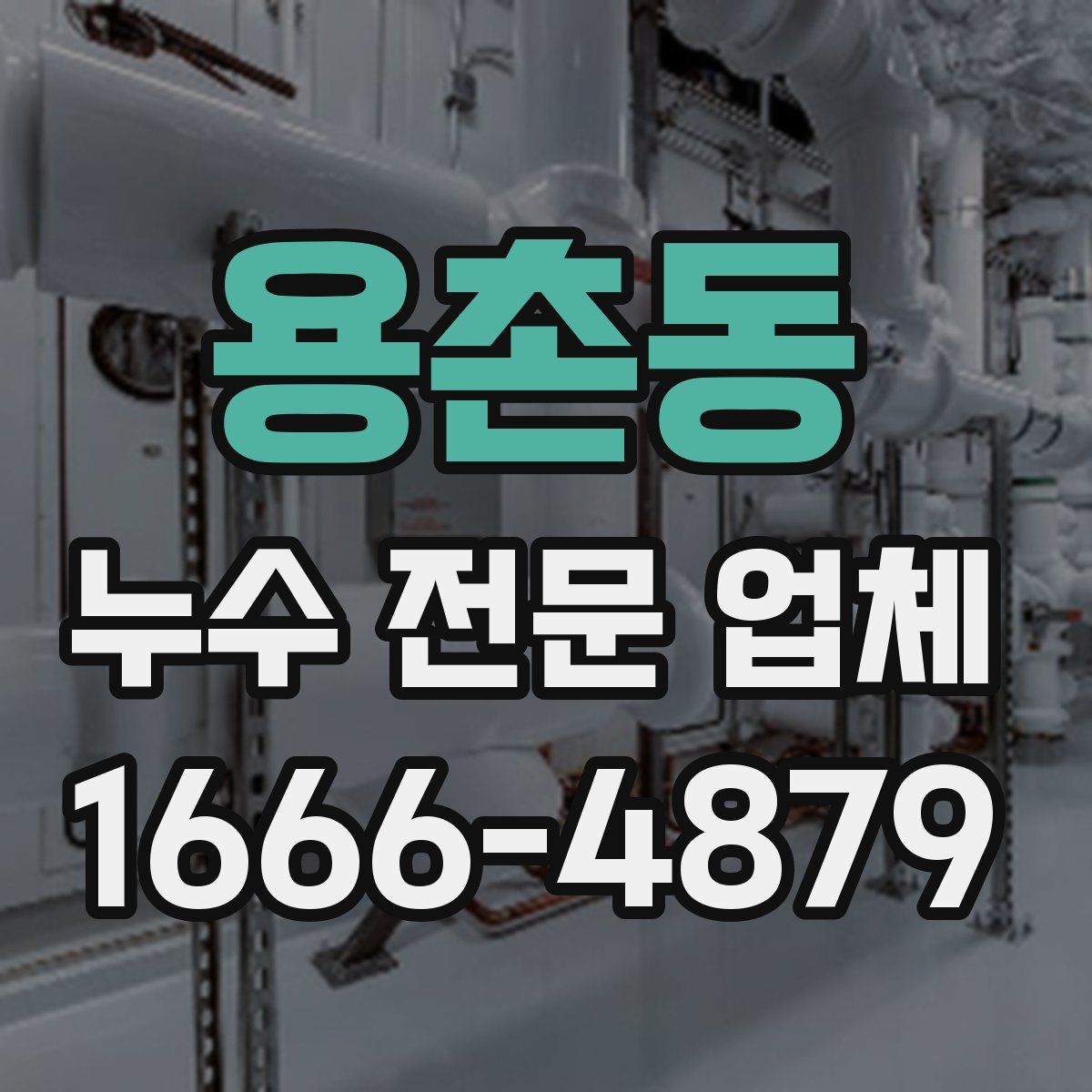 용촌동 누수 전문 업체