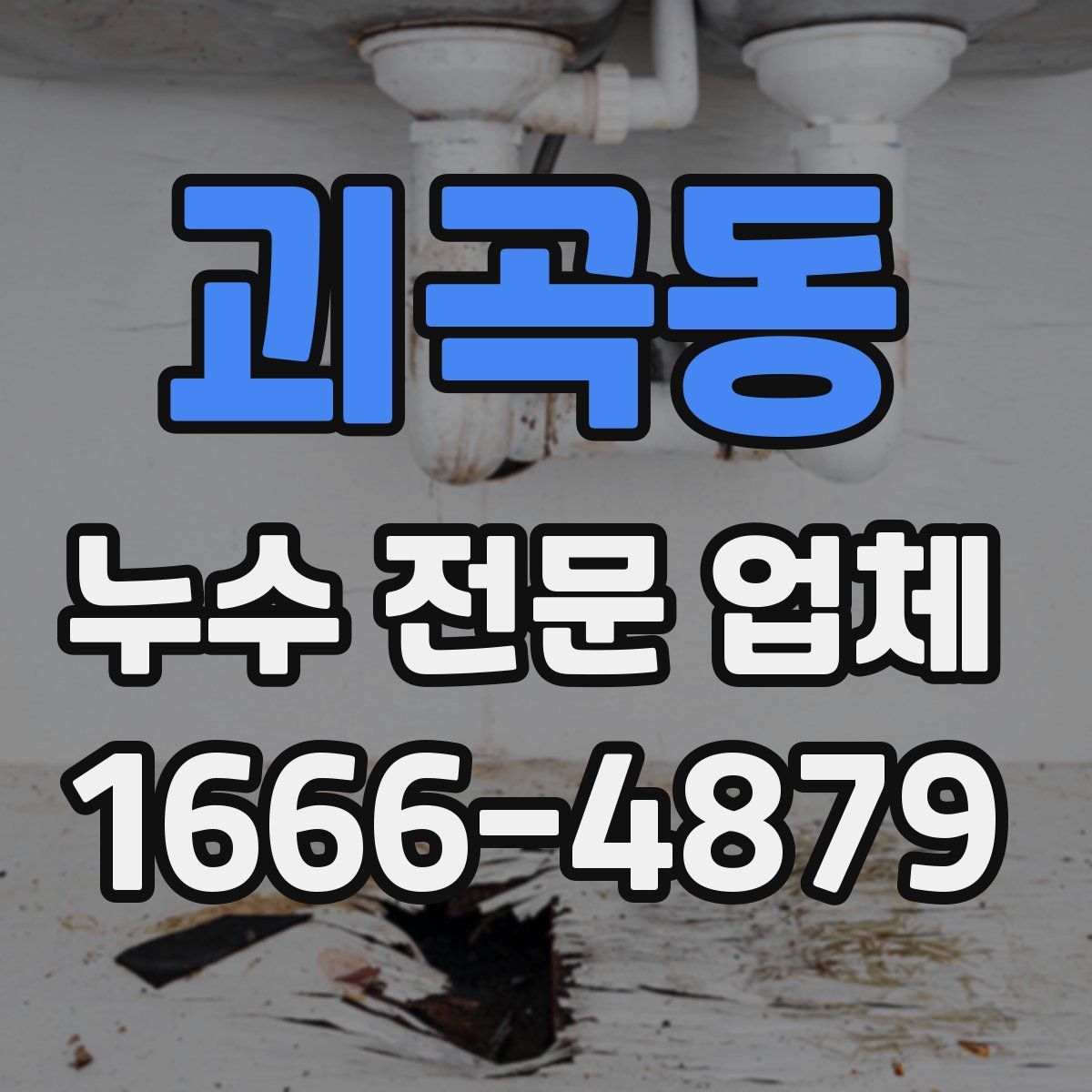 괴곡동 누수 전문 업체