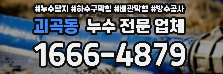 괴곡동 누수 전문 업체