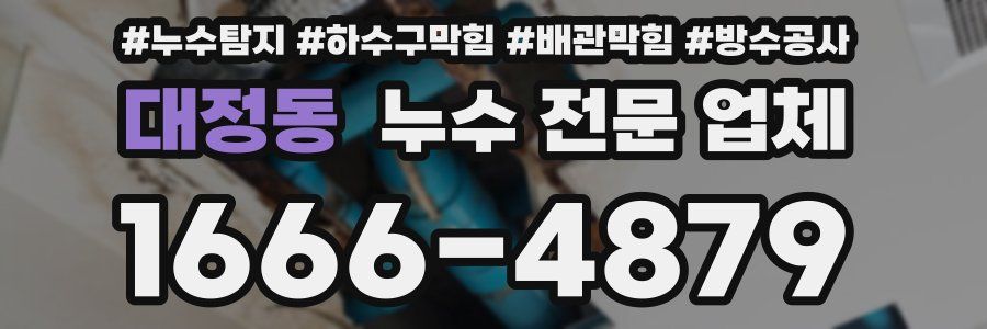 대정동 누수 전문 업체