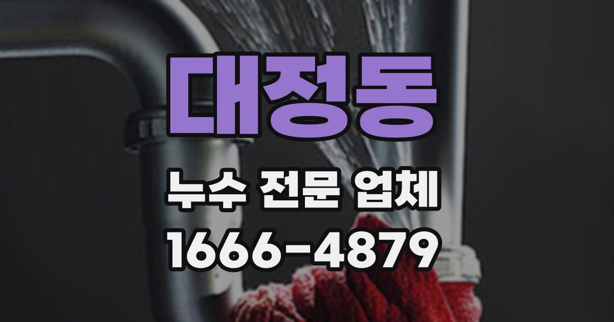 대정동 누수 전문 업체