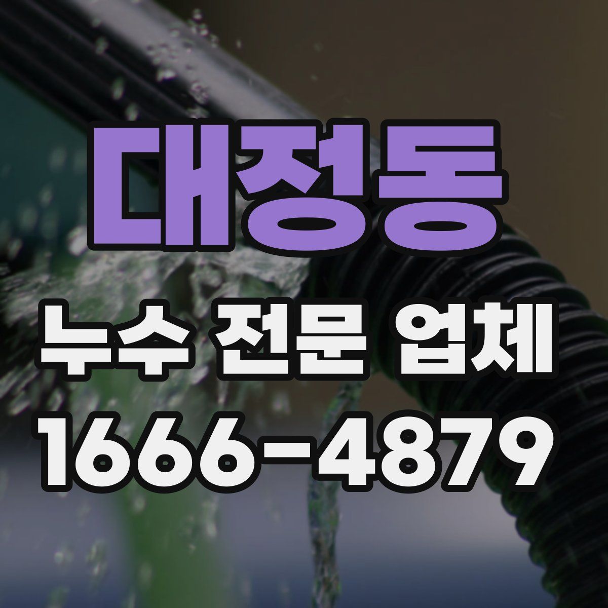대정동 누수 전문 업체