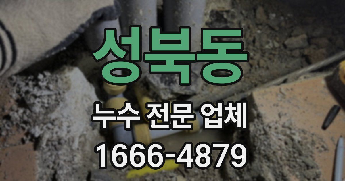 성북동 누수 전문 업체