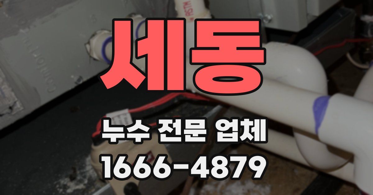 세동 누수 전문 업체
