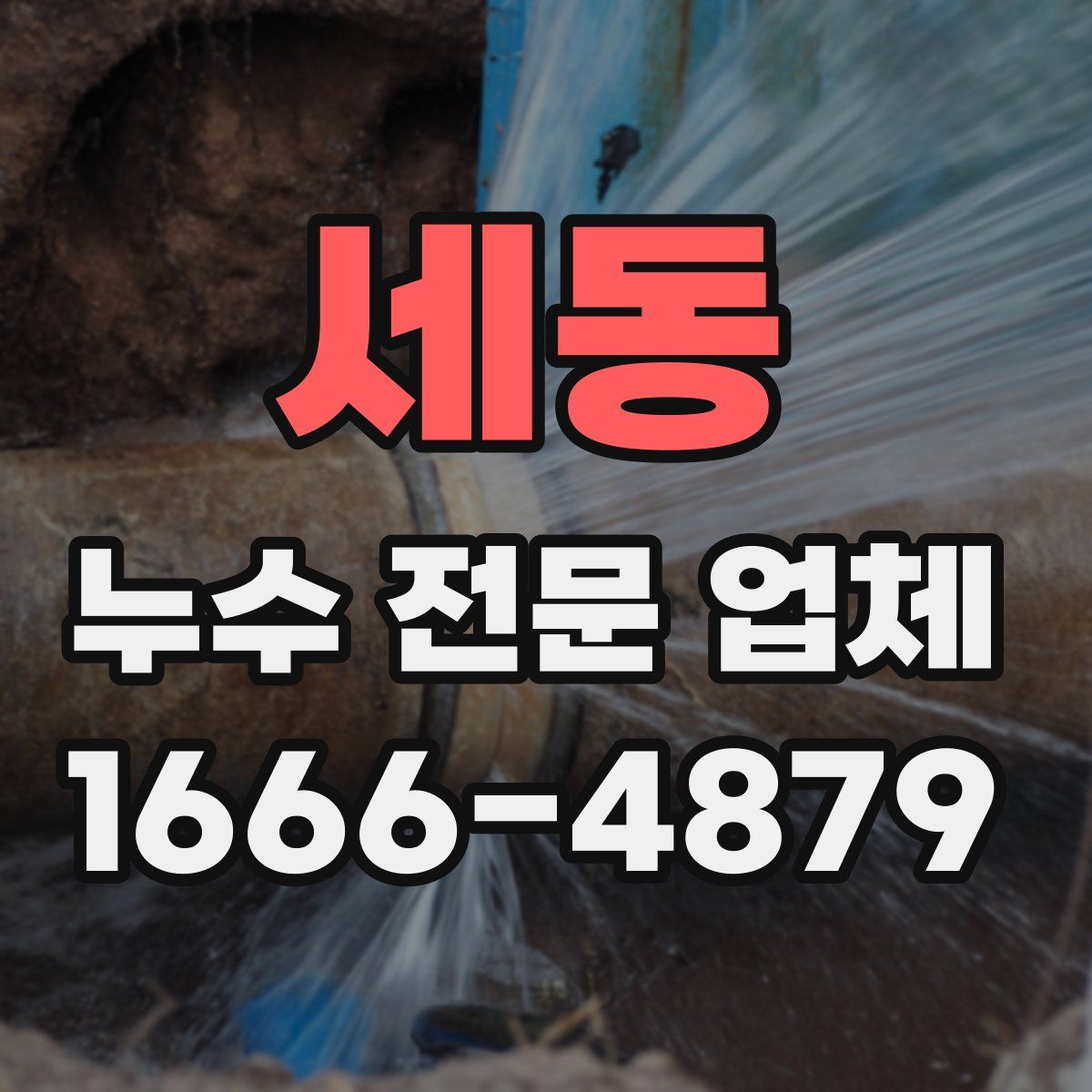 세동 누수 전문 업체