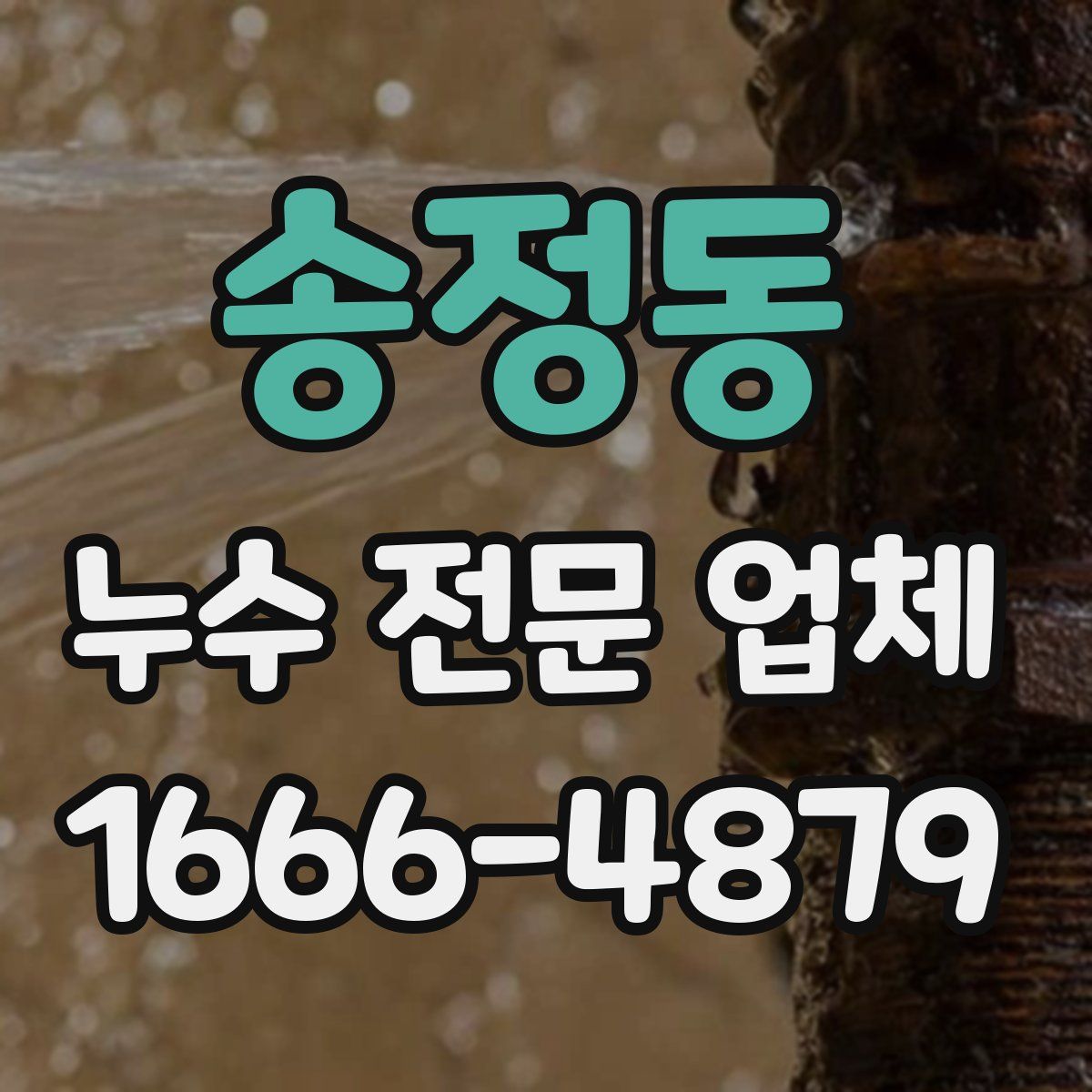 송정동 누수 전문 업체