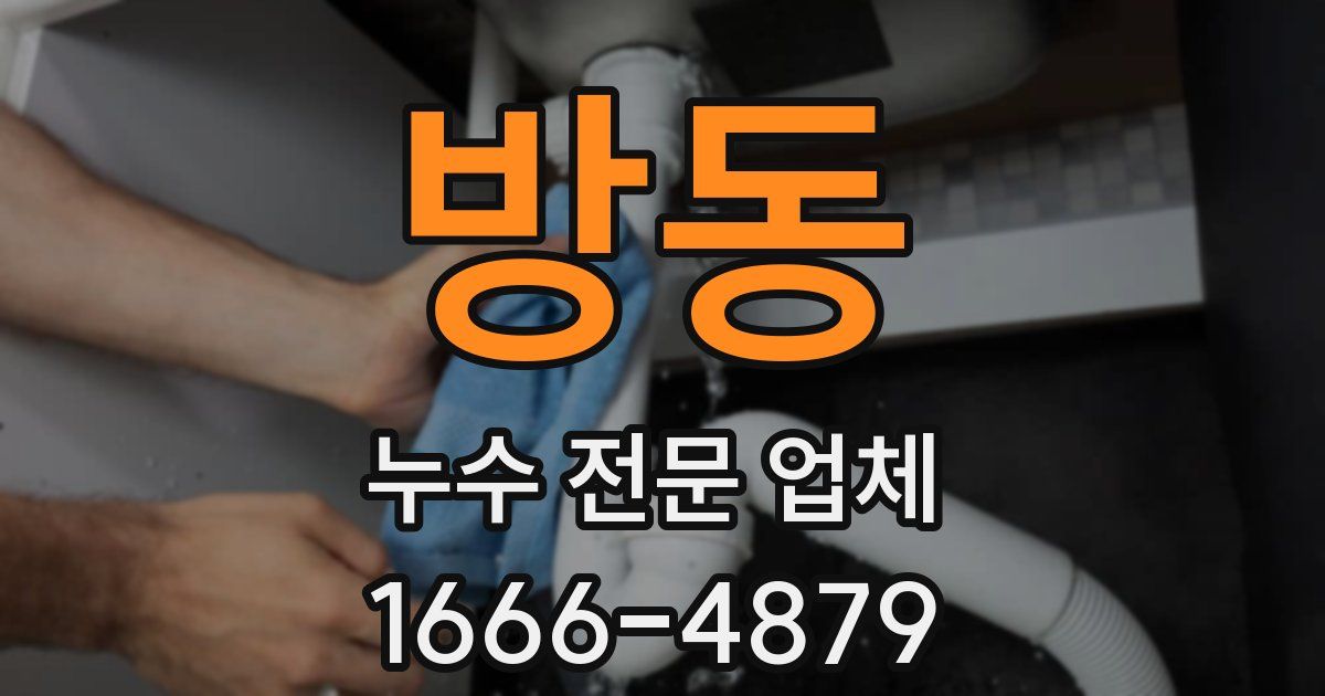 방동 누수 전문 업체