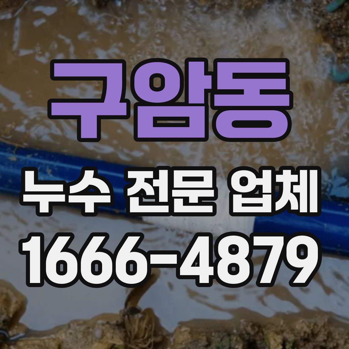 구암동 누수 전문 업체