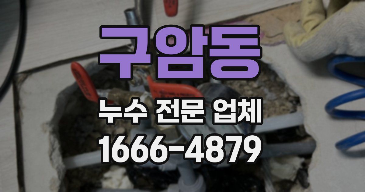 구암동 누수 전문 업체