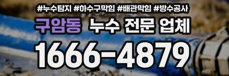구암동 누수 전문 업체