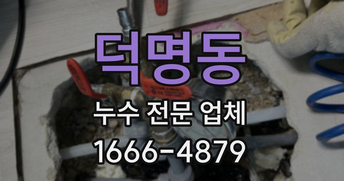 덕명동 누수 전문 업체