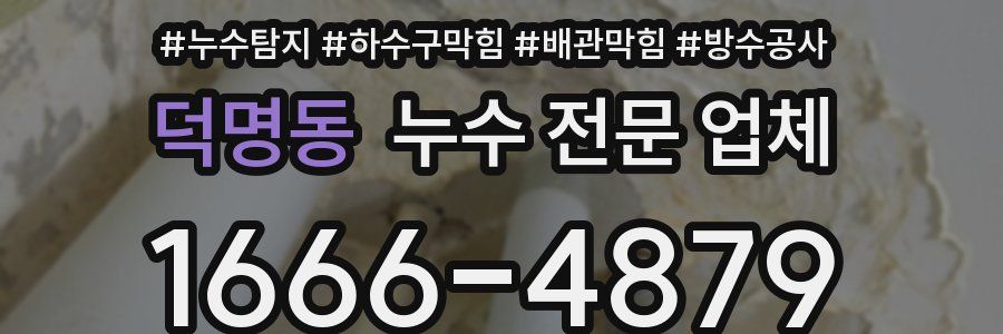 덕명동 누수 전문 업체
