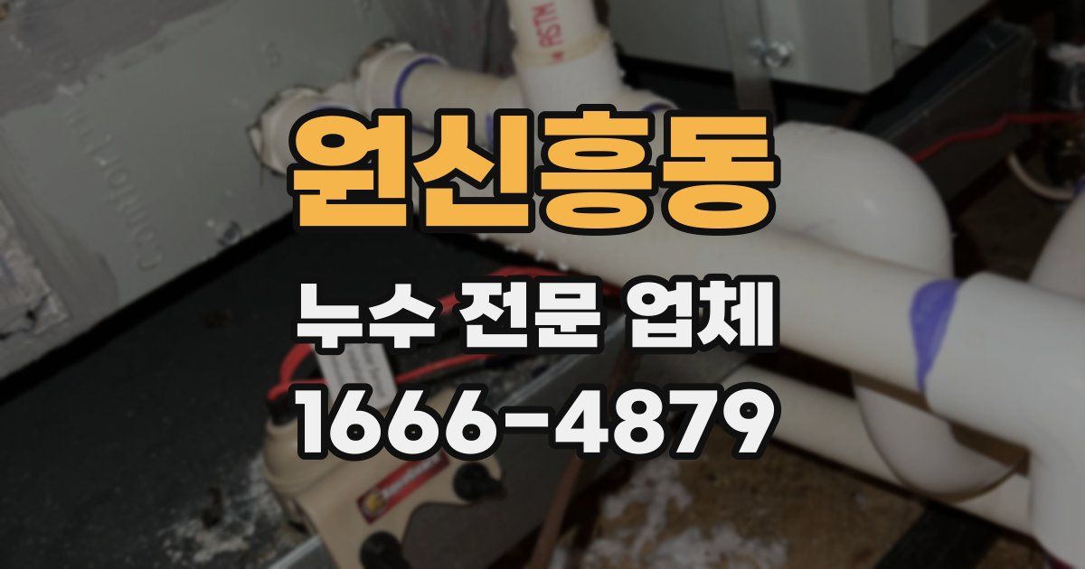 원신흥동 누수 전문 업체