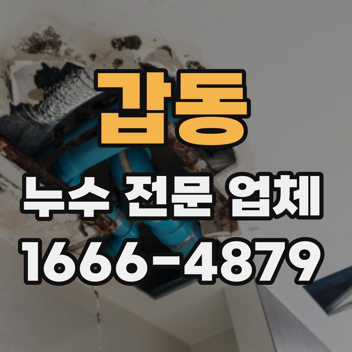 갑동 누수 전문 업체
