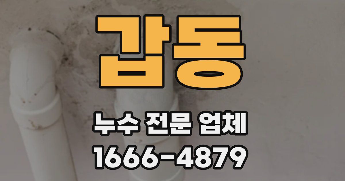 갑동 누수 전문 업체