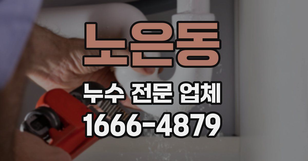 노은동 누수 전문 업체