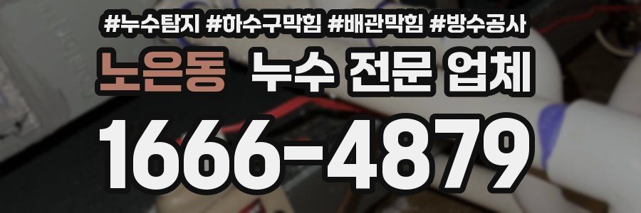 노은동 누수 전문 업체