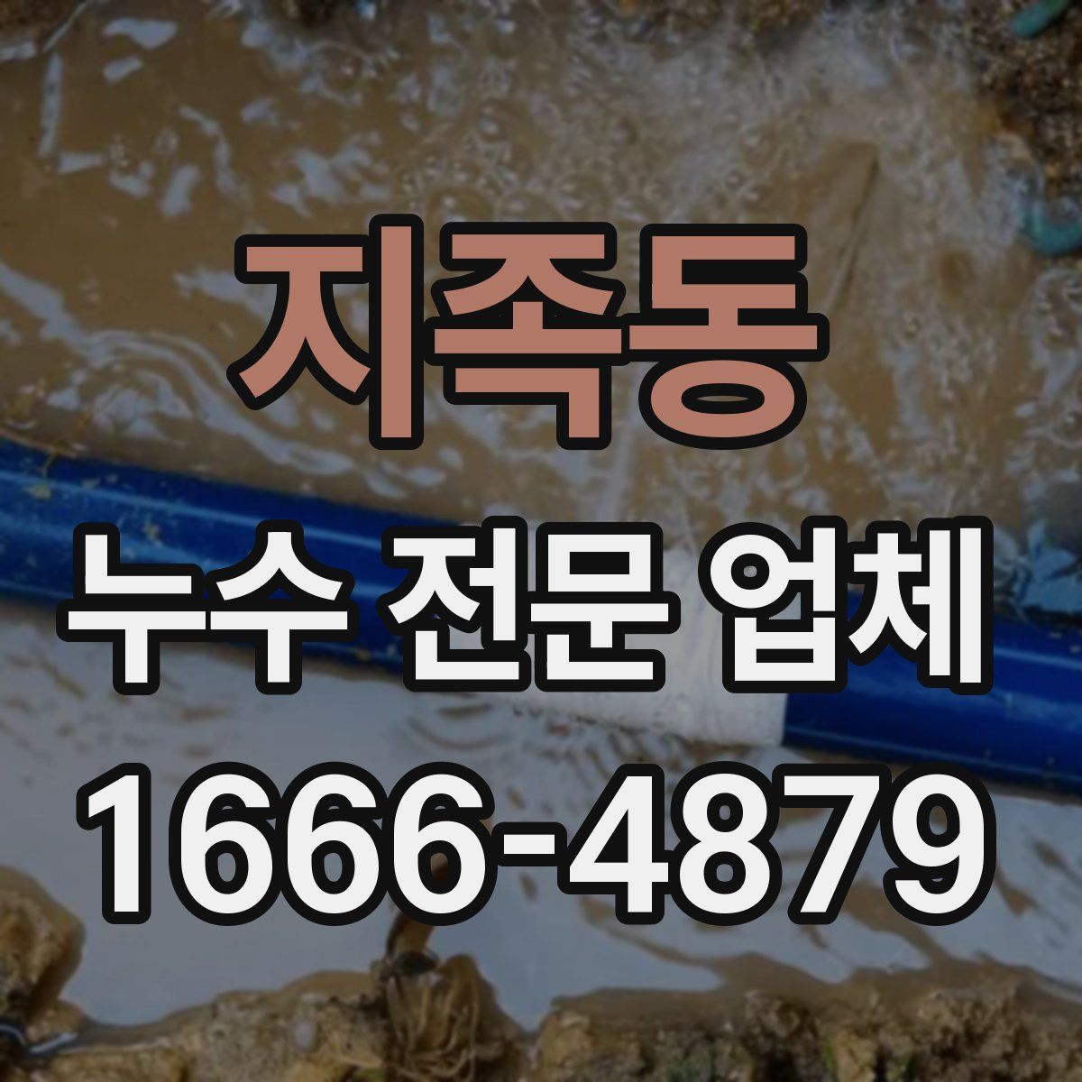 지족동 누수 전문 업체