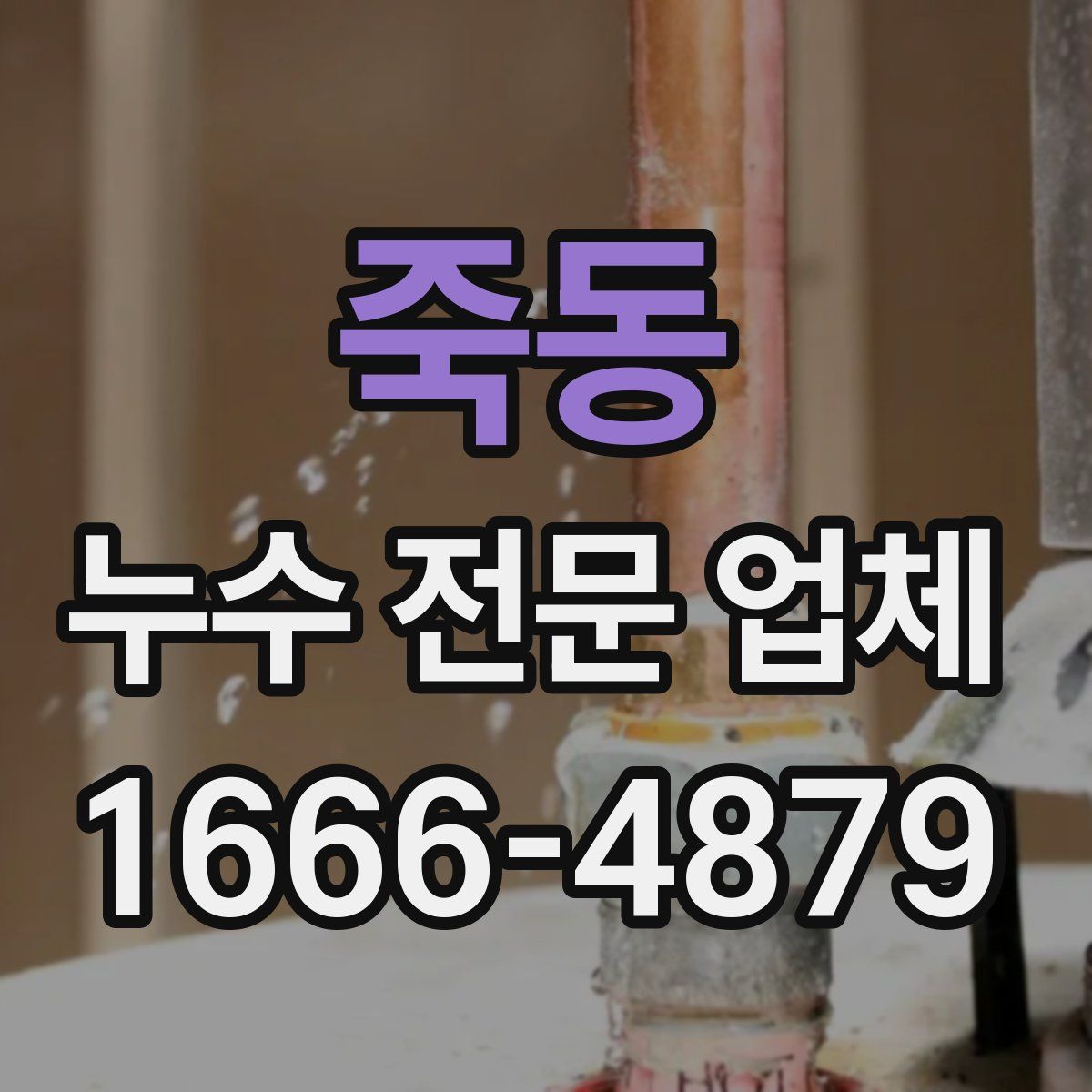죽동 누수 전문 업체