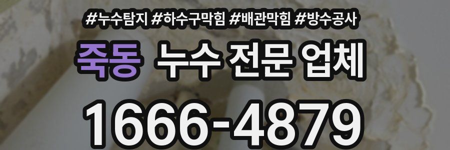 죽동 누수 전문 업체