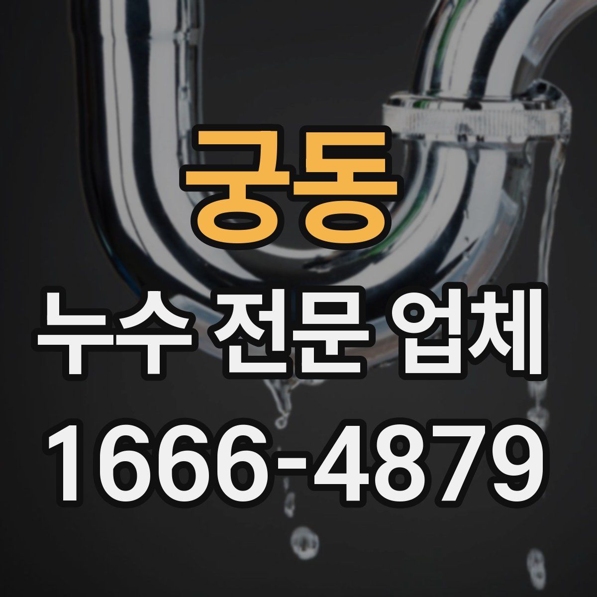 궁동 누수 전문 업체