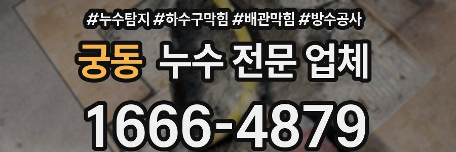 궁동 누수 전문 업체