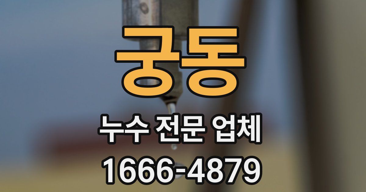 궁동 누수 전문 업체