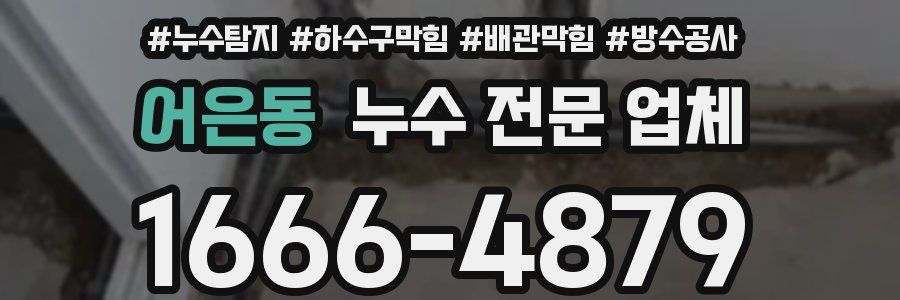 어은동 누수 전문 업체