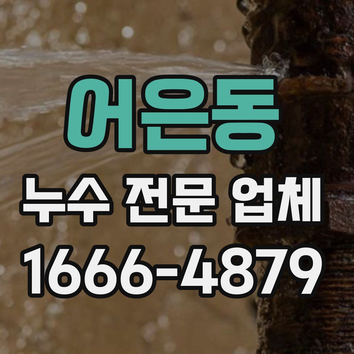 어은동 누수 전문 업체