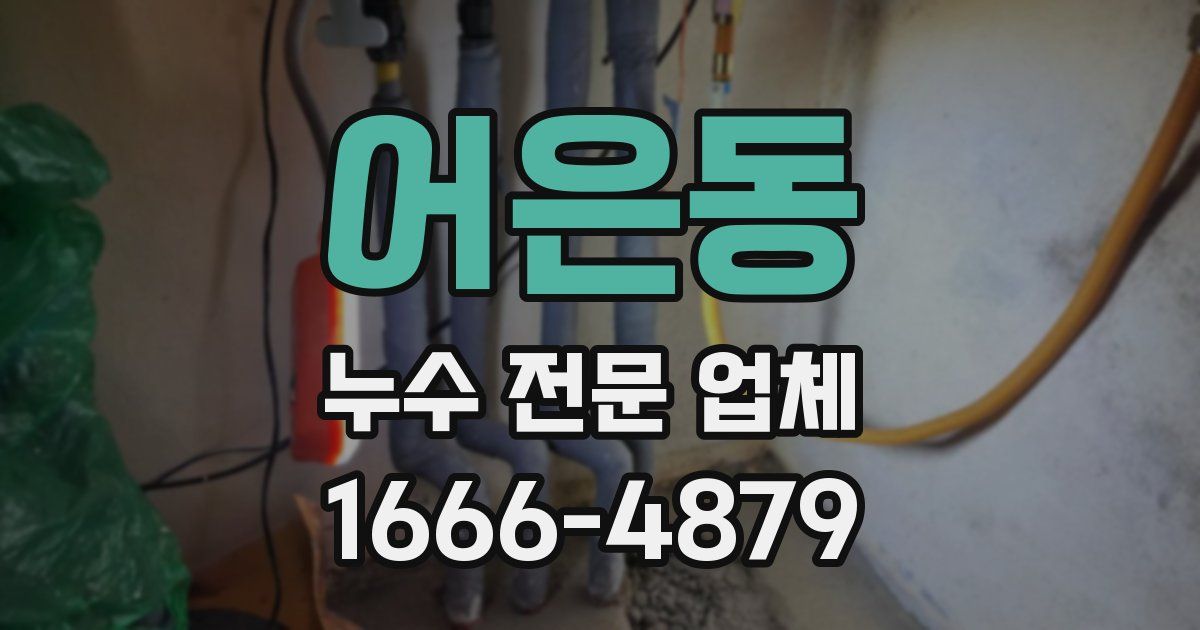 어은동 누수 전문 업체