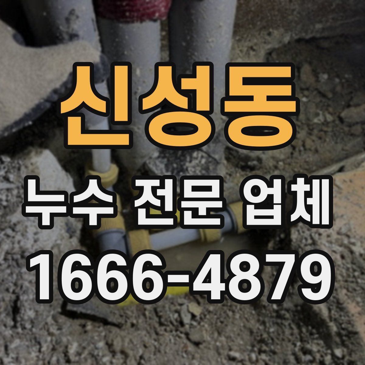 신성동 누수 전문 업체