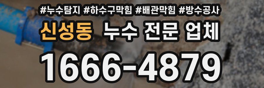 신성동 누수 전문 업체